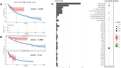 In silico and pharmacological evaluation of GPR65 as a cancer immunotherapy target regulating T-cell functions